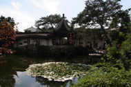 Chinese garden, thumbnail
